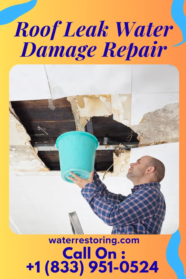 Roof Leak Water Damage Repair in Marysville, PA