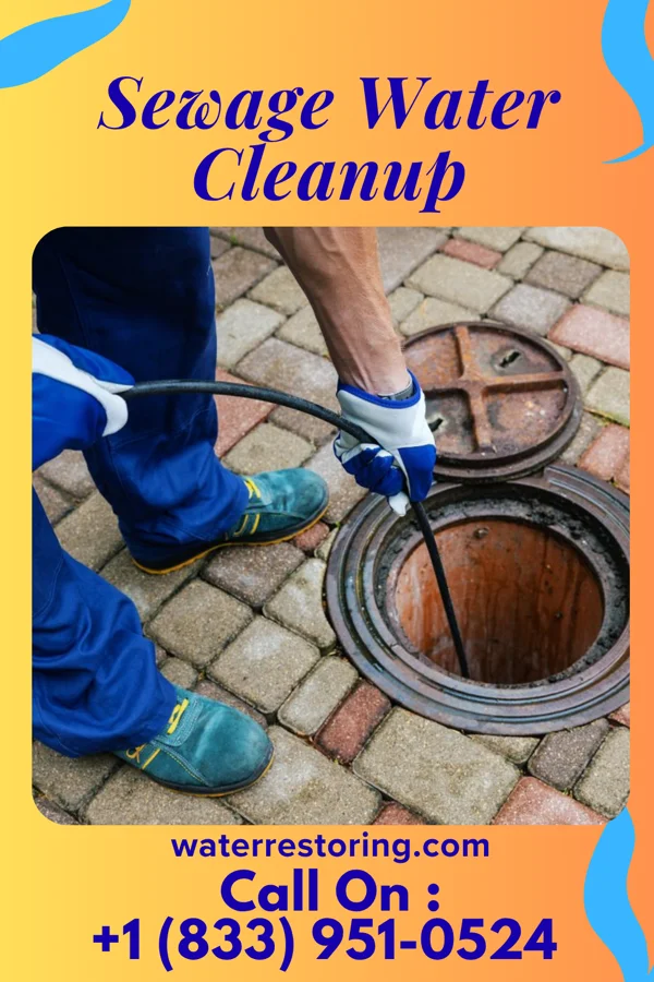 Sewage Water Cleanup in Marysville, PA